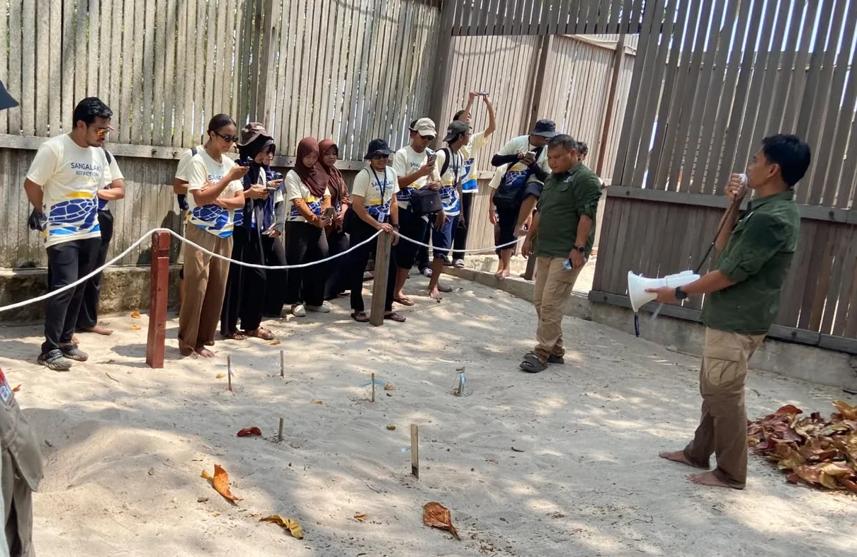 PT Pamapersada Nusantara melalui program Sangalaki Eco Action melakukan kegiatan konservasi di Pulau Sangalaki, beberapa hari lalu.