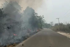 Kabut Asap Masih Selimuti Berau Beberapa Hari ke Depan