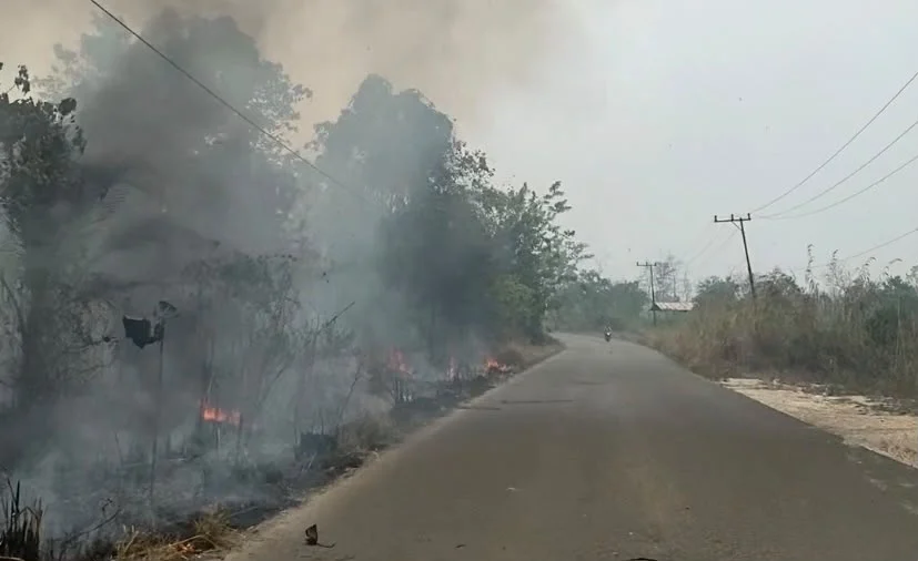 Kabut Asap Masih Selimuti Berau Beberapa Hari ke Depan