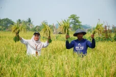 Kisah Inspiratif Eko Saputra, Petani Muda Tasuk yang Konsisten Jaga Ketahanan Pangan lewat Program Pengembangan Sawah