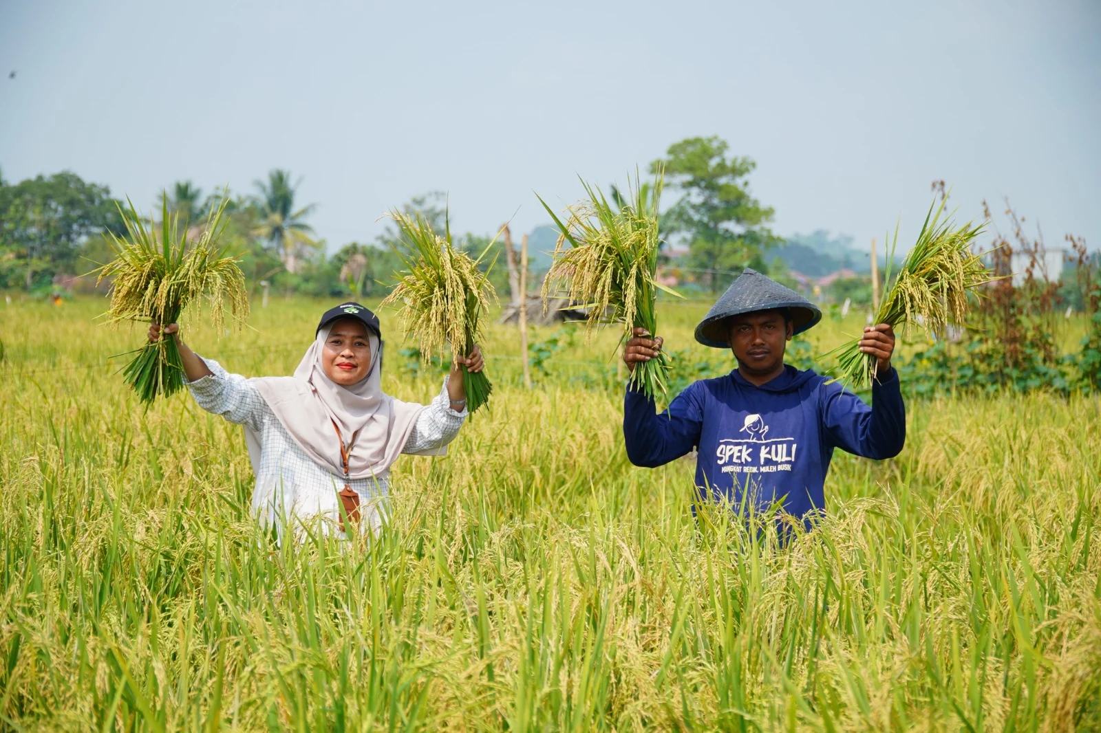 Kisah Inspiratif Eko Saputra, Petani Muda Tasuk yang Konsisten Jaga Ketahanan Pangan lewat Program Pengembangan Sawah