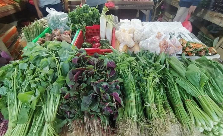 Kangkung dan Bayam jadi pendorong inflasi pada September 2026.