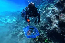 4 Penyelam Damkar Berau Turun ke Dasar Labuan Cermin, Bersihkan Sampah hingga Kedalaman 12 Meter