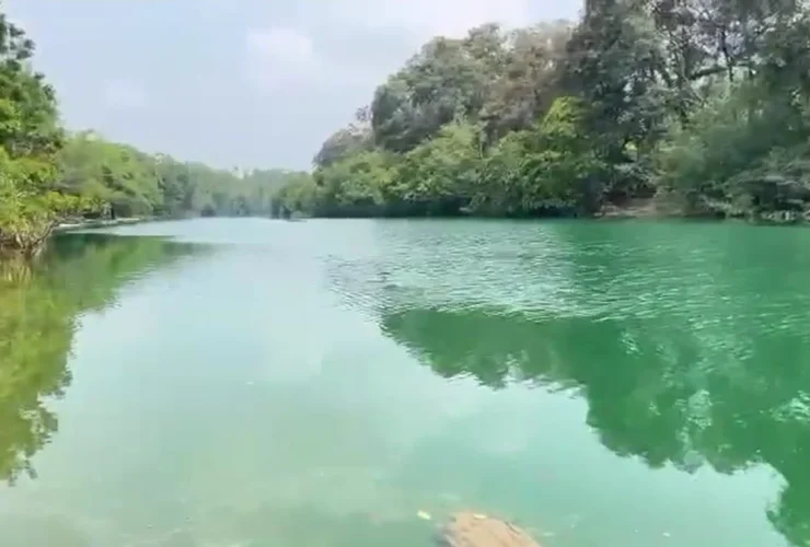 Air Sungai Siduung Indah Berubah Hijau, DLHK Berau Turunkan Tim dan Ambil Sampel