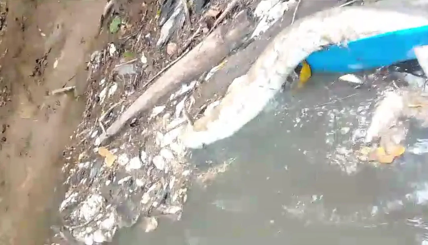 Tangkapan layar kondisi air sungai di Kampung Siduung Indah, Kecamatan Segah.
