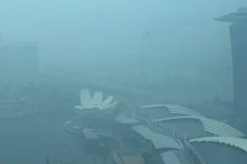 Singapura Tegas! Tindak Korporasi Diduga Sebabkan Karhutla di Indonesia