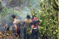 Ratusan Titik Api Puluhan Kali Terbakar, Berau Sedang Beri Peringatan yang Tak Boleh Diabaikan