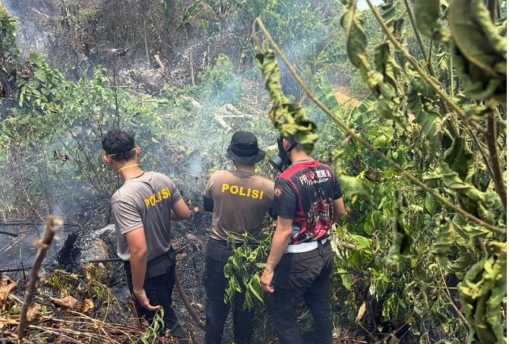 Ratusan Titik Api Puluhan Kali Terbakar, Berau Sedang Beri Peringatan yang Tak Boleh Diabaikan