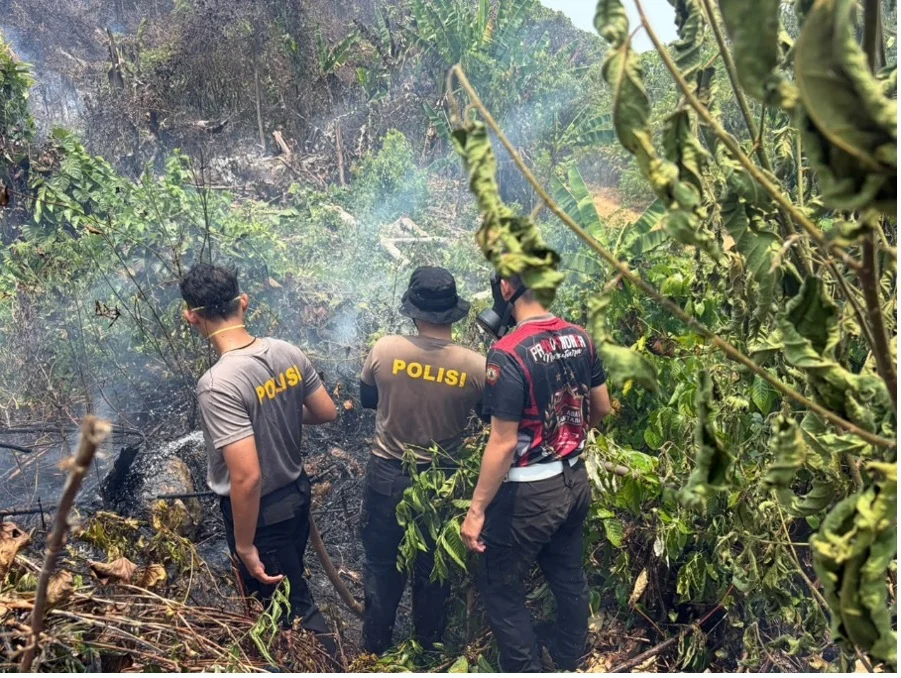 Ratusan Titik Api Puluhan Kali Terbakar, Berau Sedang Beri Peringatan yang Tak Boleh Diabaikan