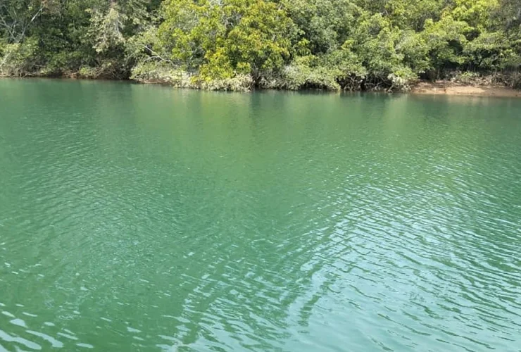 Update Air Sungai Siduung Berubah Warna, DLHK Berau Ambil Tiga Sampel di Tiga Titik
