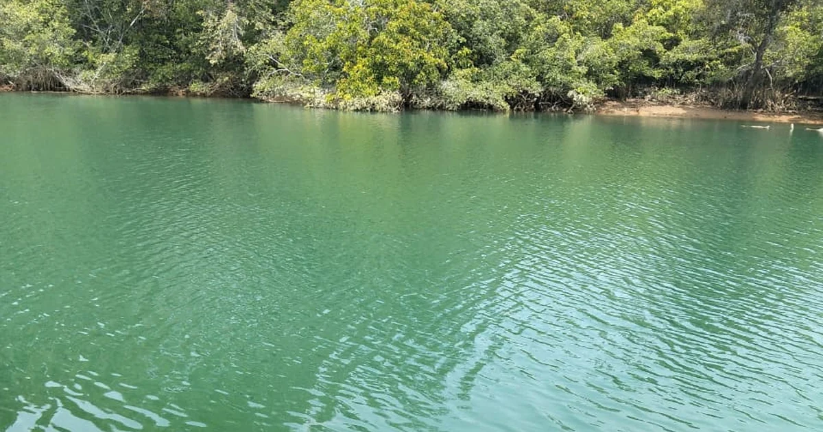 Kondisi air sungai Siduung di Segah, Berau yang berubah warna menjadi kehijauan (Ist)